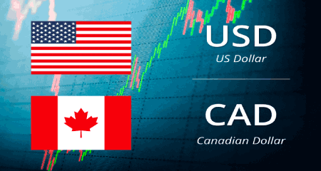 USD/CAD slips vertically to near 1.3600