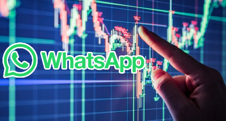 Unlock Premium WhatsApp Signals SignalsWorld